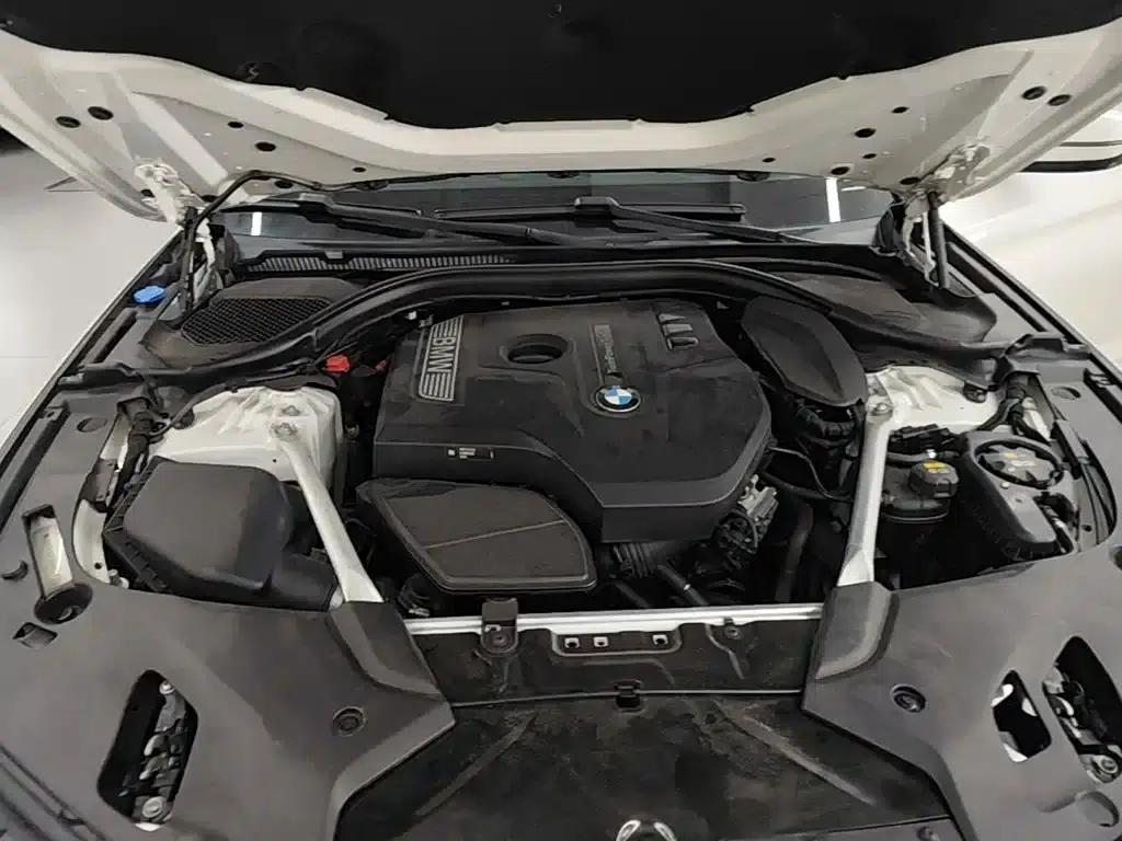 BMW 5 Series 2019 530Li Luxury Package — миниатюра 20