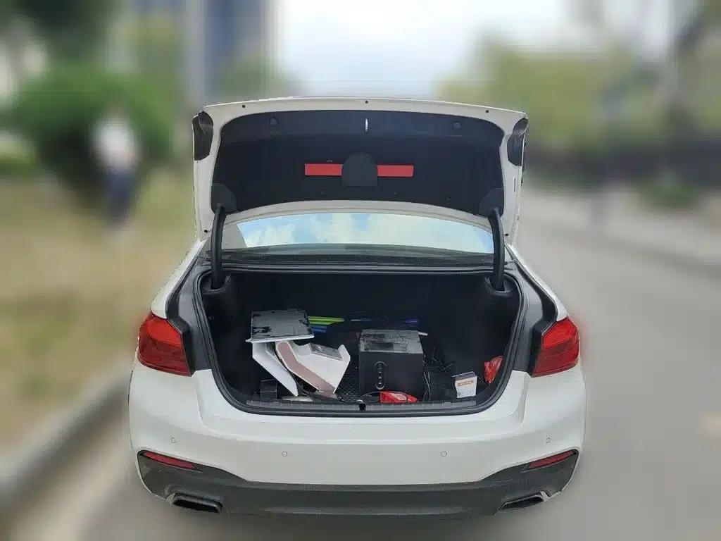 2018 BMW 5 Series 530Li Leading Edition M Sport Package — миниатюра 10