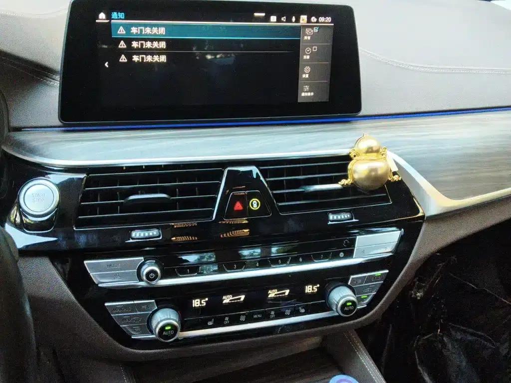 BMW 5 Series PHEV 2020 Mileage Upgrade Edition 530Le Luxury Package — миниатюра 14