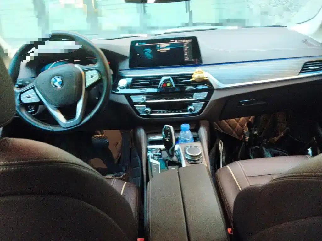 BMW 5 Series PHEV 2020 Mileage Upgrade Edition 530Le Luxury Package — миниатюра 10