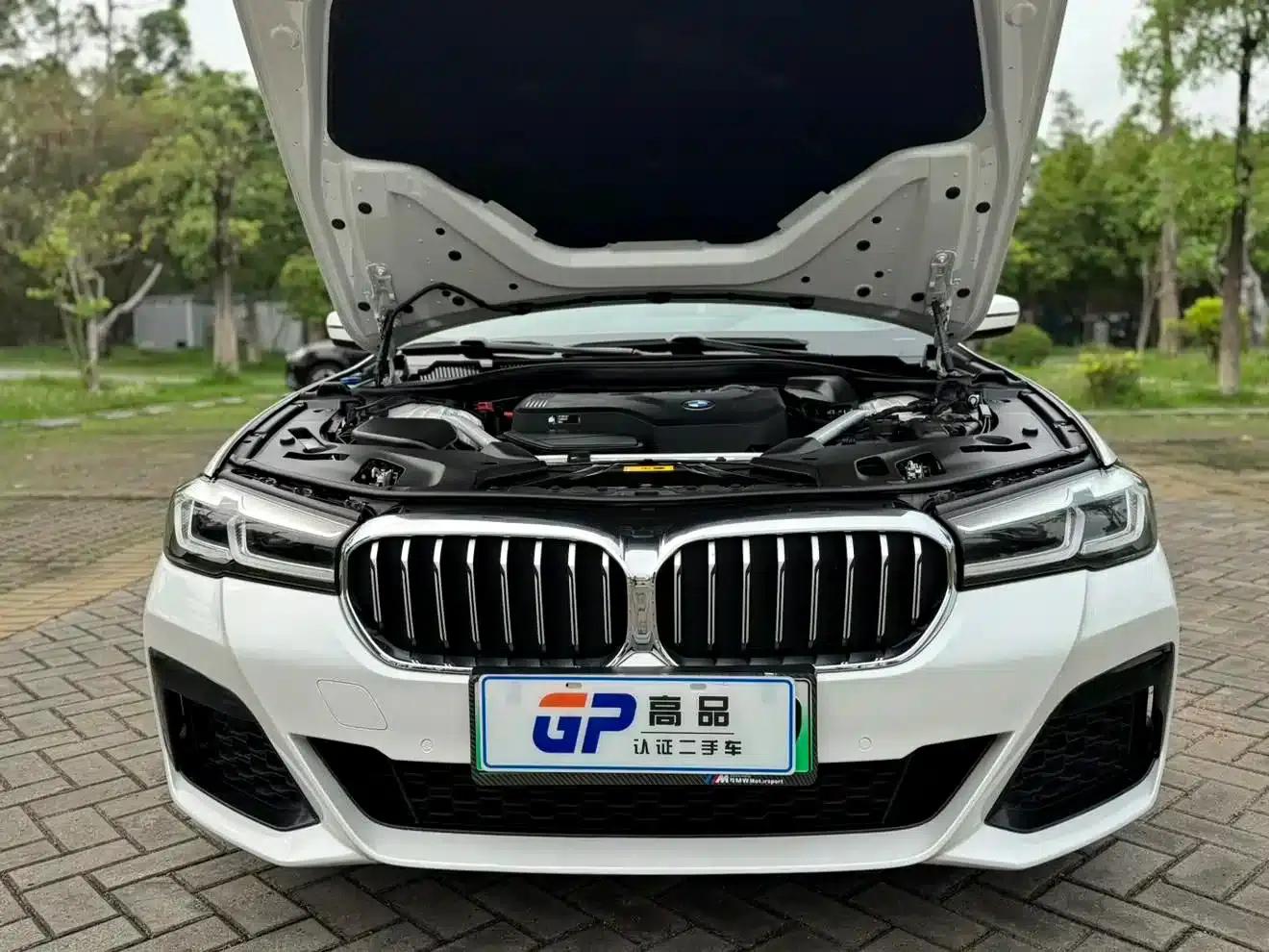 BMW 5 Series PHEV 2022 Facelift 535Le Luxury Package — миниатюра 17