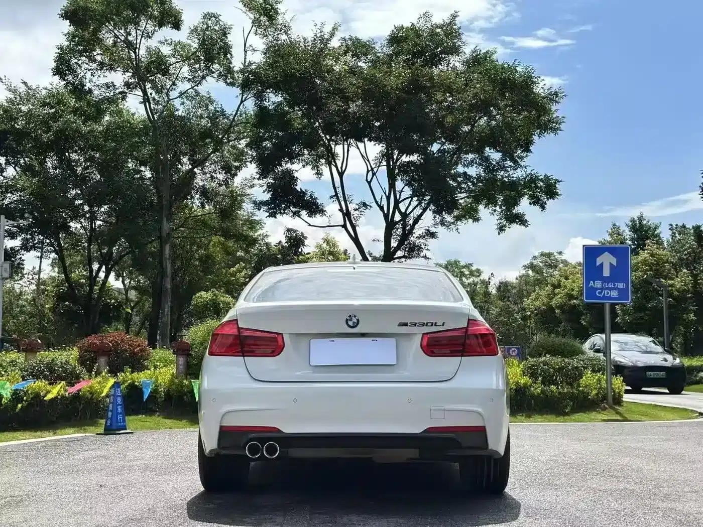 2019 BMW 3 Series 320Li M Sport Package — миниатюра 8