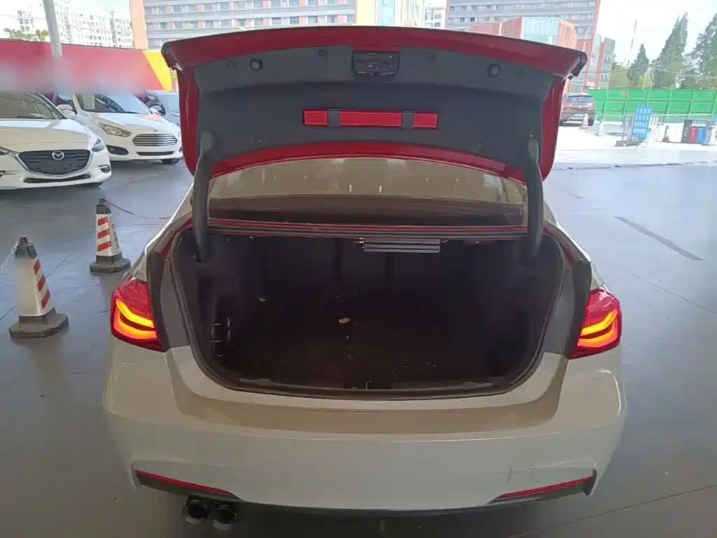 2019 BMW 3 Series 320Li M Sport Package — миниатюра 19