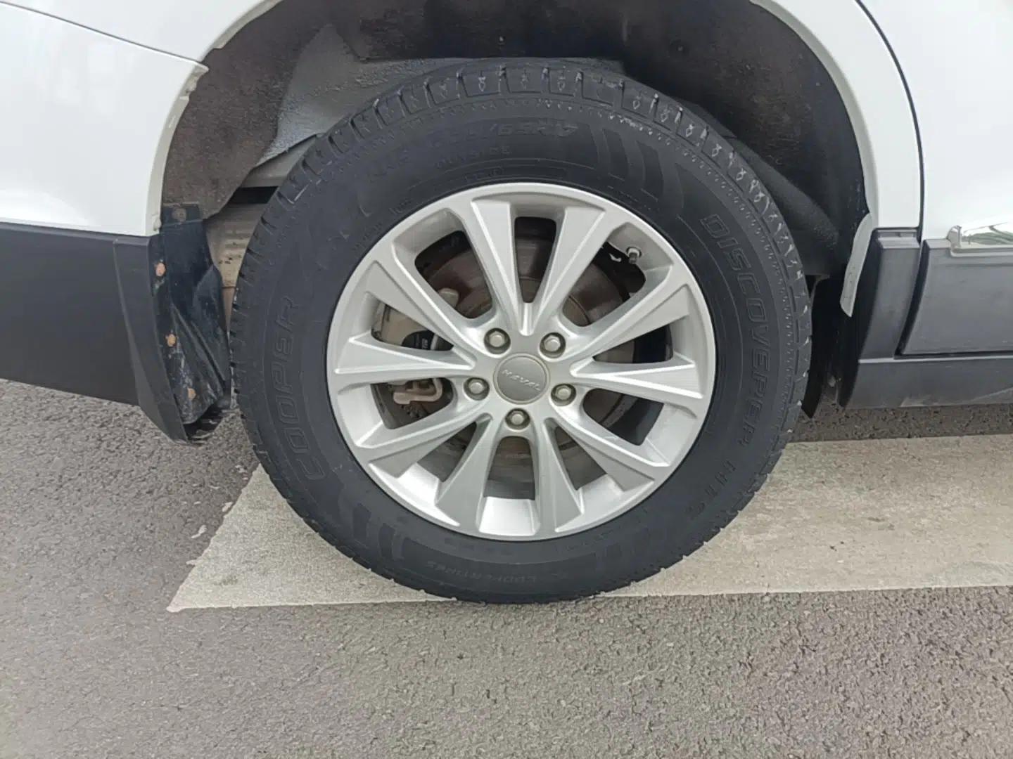 Haval H6 2018 Blue Label Sport Edition 1.5T Manual Two-Wheel Drive Elite Model — миниатюра 11