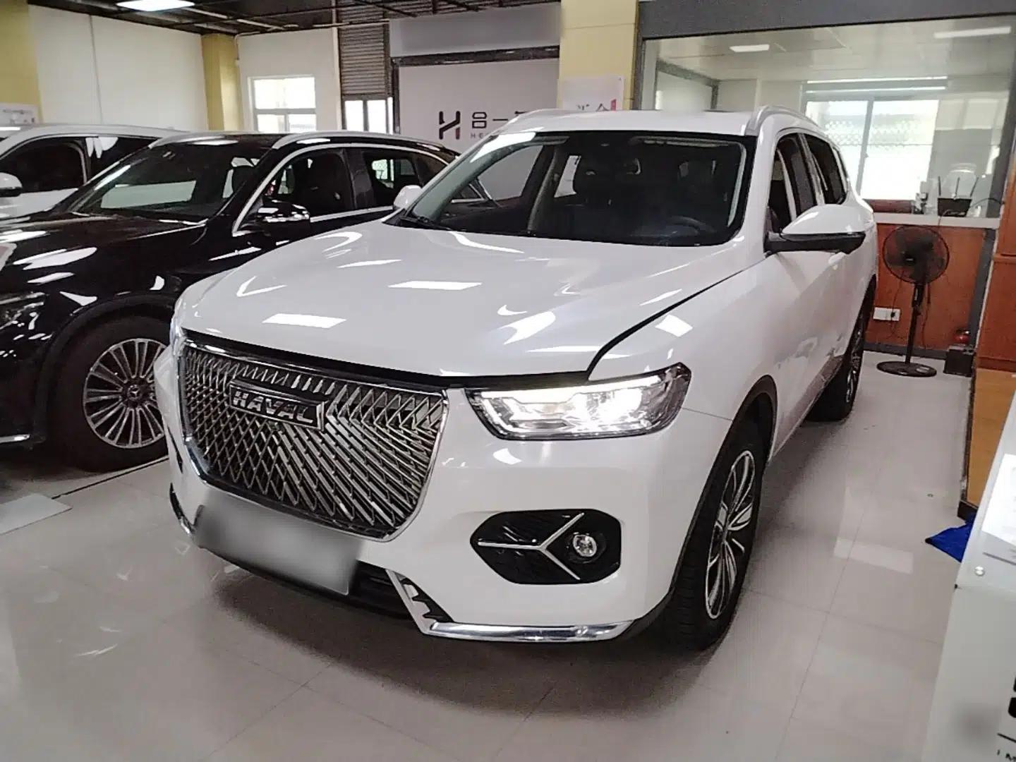 Haval H6 2021 1.5 GDIT Automatic Champion Edition — миниатюра 1