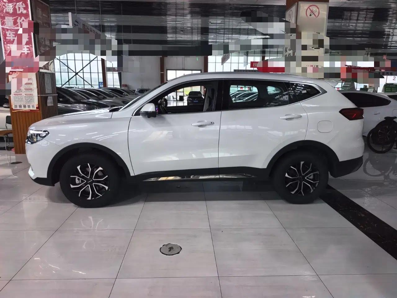 Haval H6 2023 National Trend Edition 1.5T Automatic Urban Version — миниатюра 4