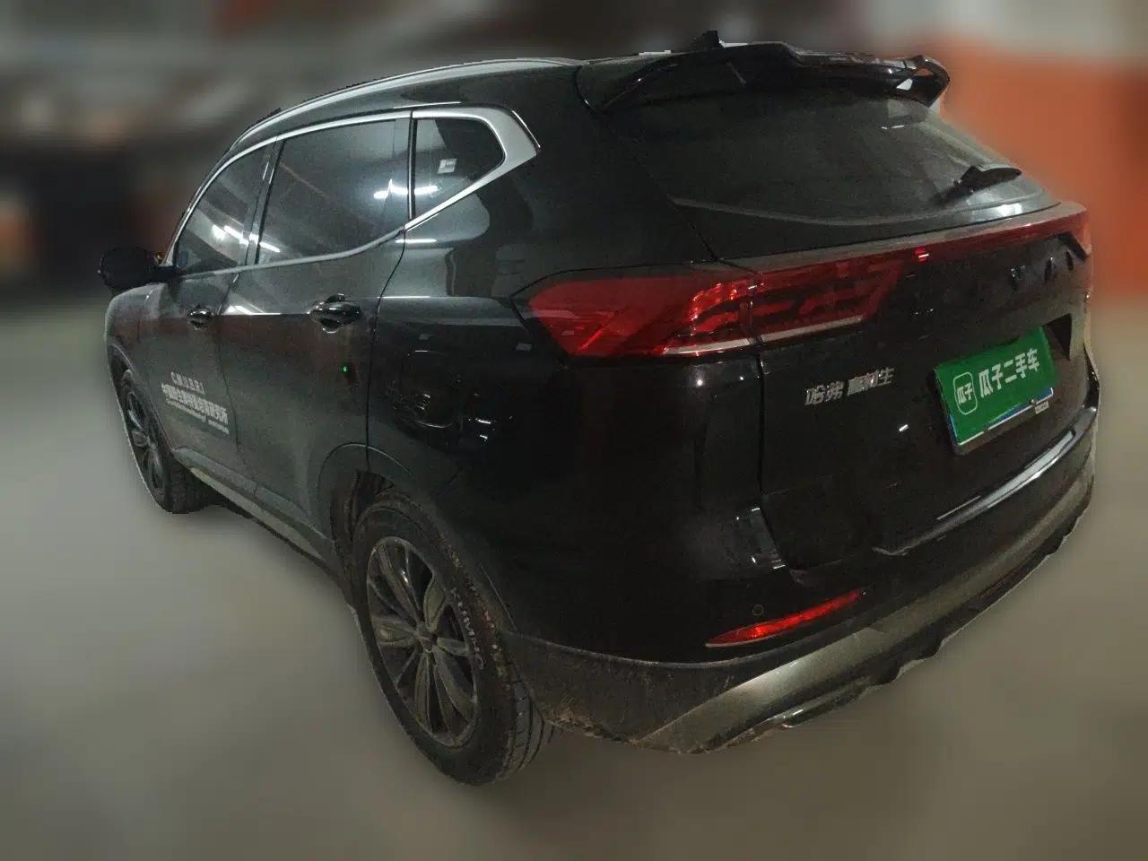 Haval H6 2023 National Trend Edition 1.5T Automatic Champion Version — миниатюра 4