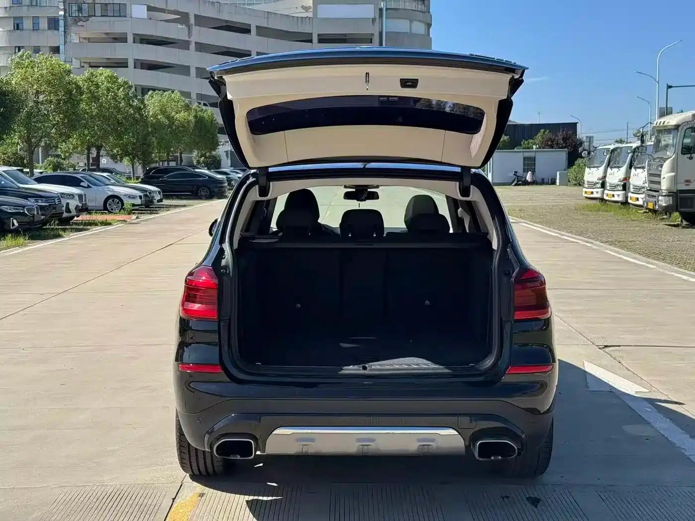 BMW X3 2020 xDrive25i Luxury Package — миниатюра 9