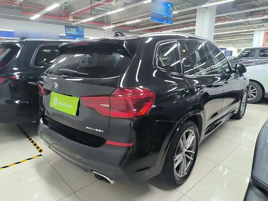 BMW X3 2018 xDrive25i M Sport Package (China VI Emission Standard) — миниатюра 7