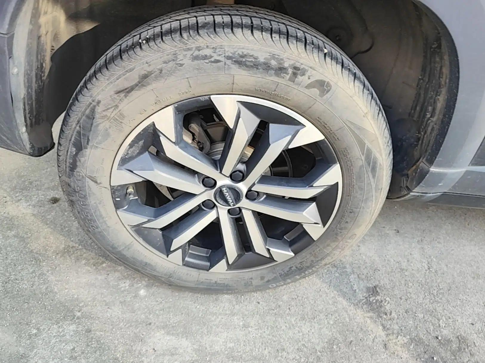 Haval DARGO 2024 1.5T DCT Border Collie Edition — миниатюра 11