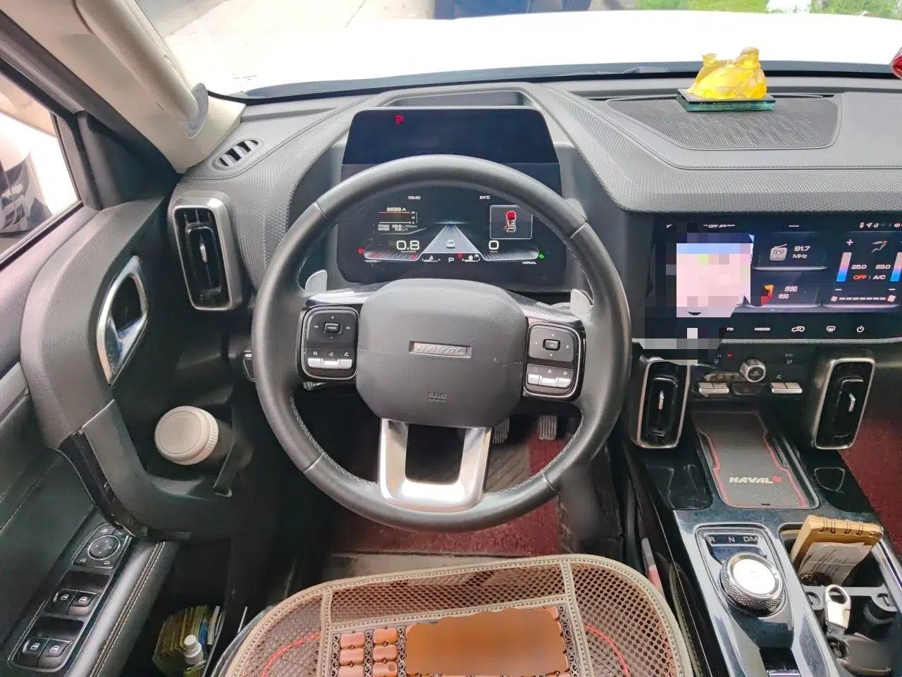 Haval DARGO 2021 1.5T DCT Two-Wheel Drive Border Collie Edition — миниатюра 10