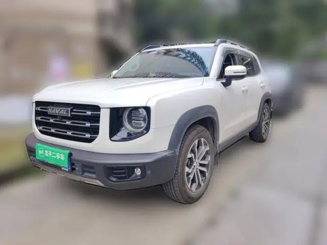 Haval DARGO 2021 1.5T DCT Two-Wheel Drive Border Collie Edition