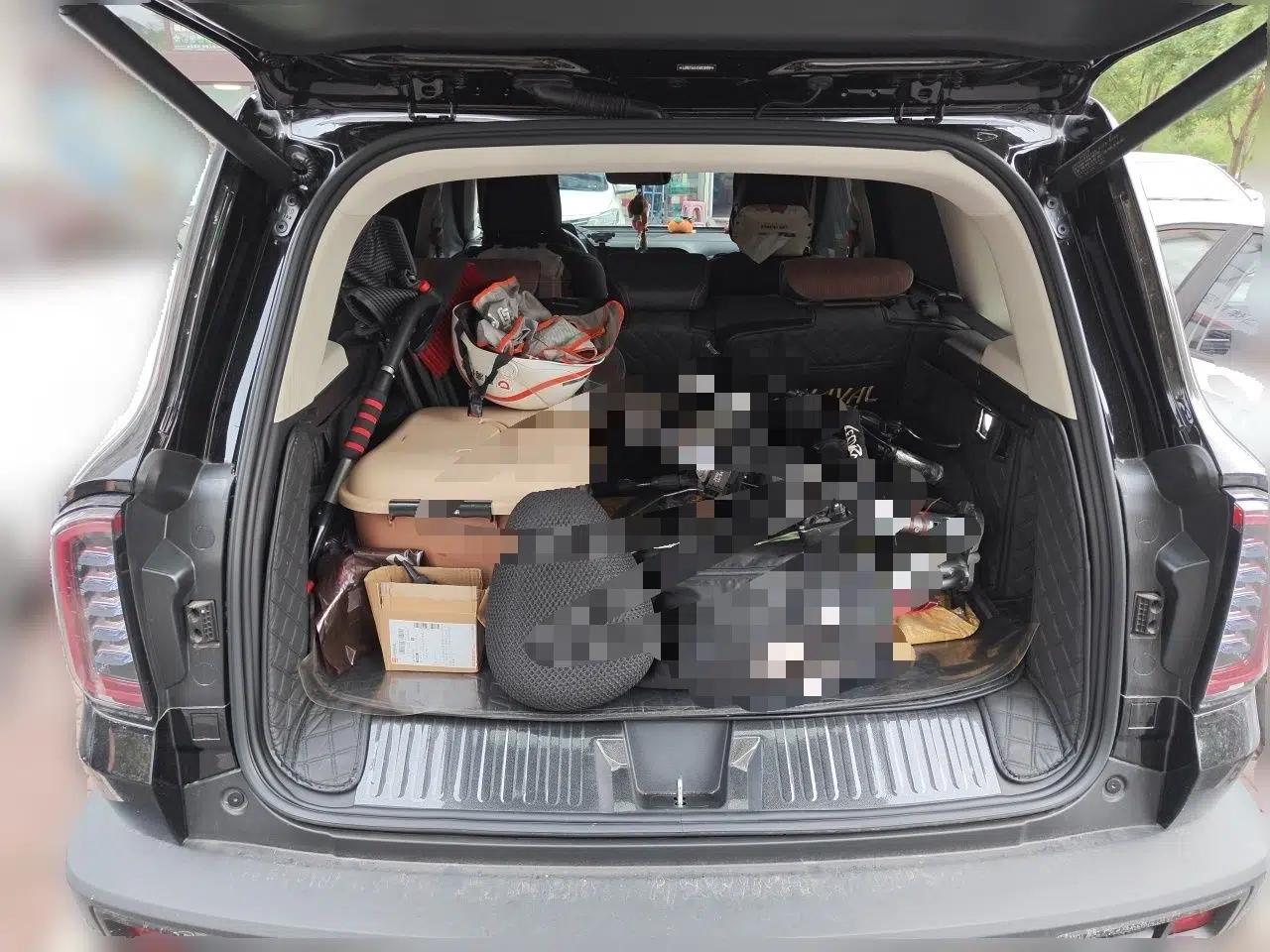 Haval DARGO 2024 1.5T DCT Border Collie Edition — миниатюра 19