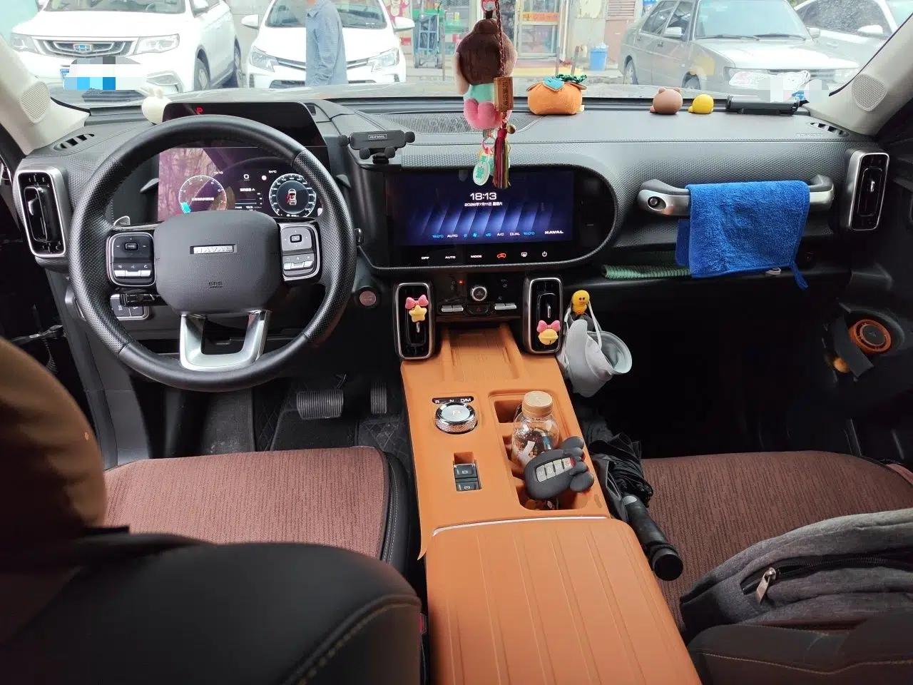 Haval DARGO 2024 1.5T DCT Border Collie Edition — миниатюра 9