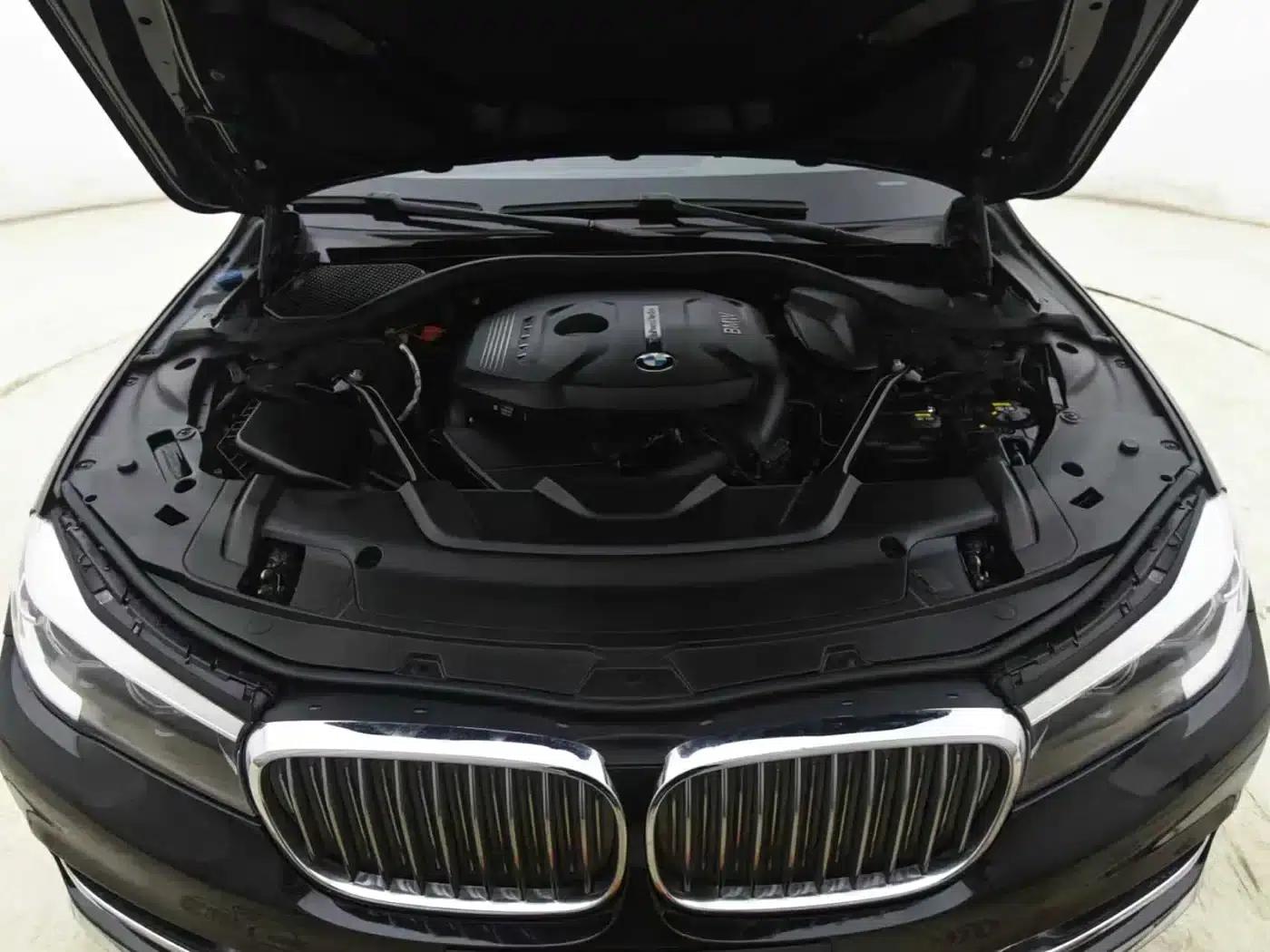 2018 BMW 7 Series 730Li Leading Excellence Package — миниатюра 12