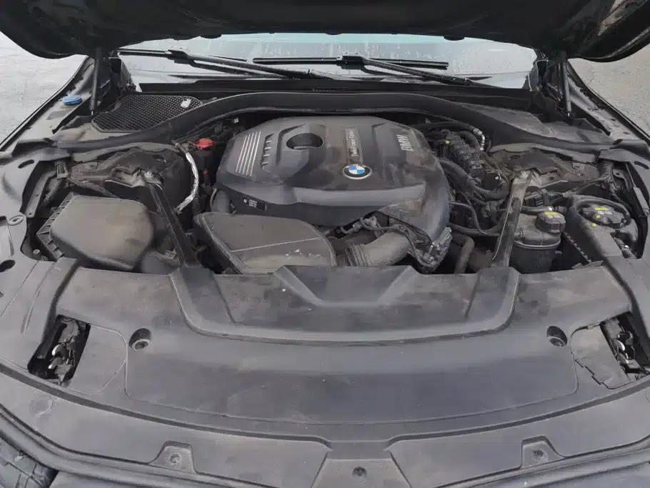 2016 BMW 7 Series 730Li Leading Edition — миниатюра 10