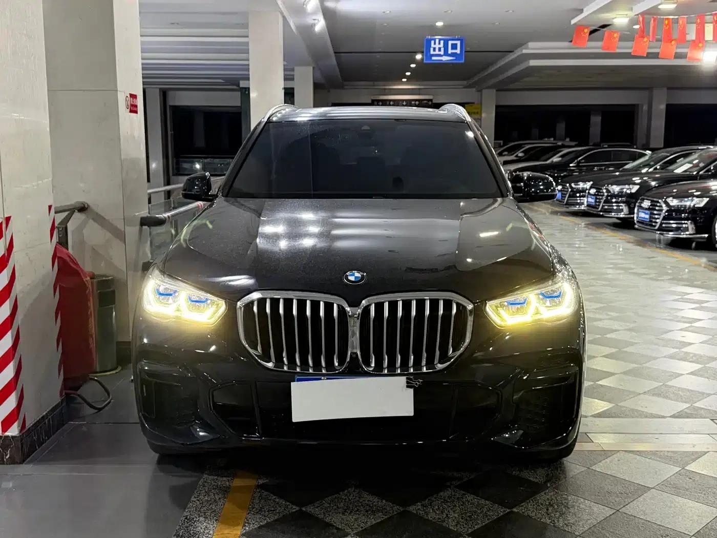 BMW X5 2022 Facelift xDrive 40Li M Sport Package — миниатюра 2