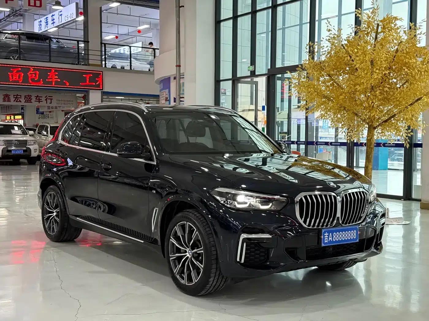 BMW X5 2022 xDrive 30Li M Sport Package — миниатюра 3