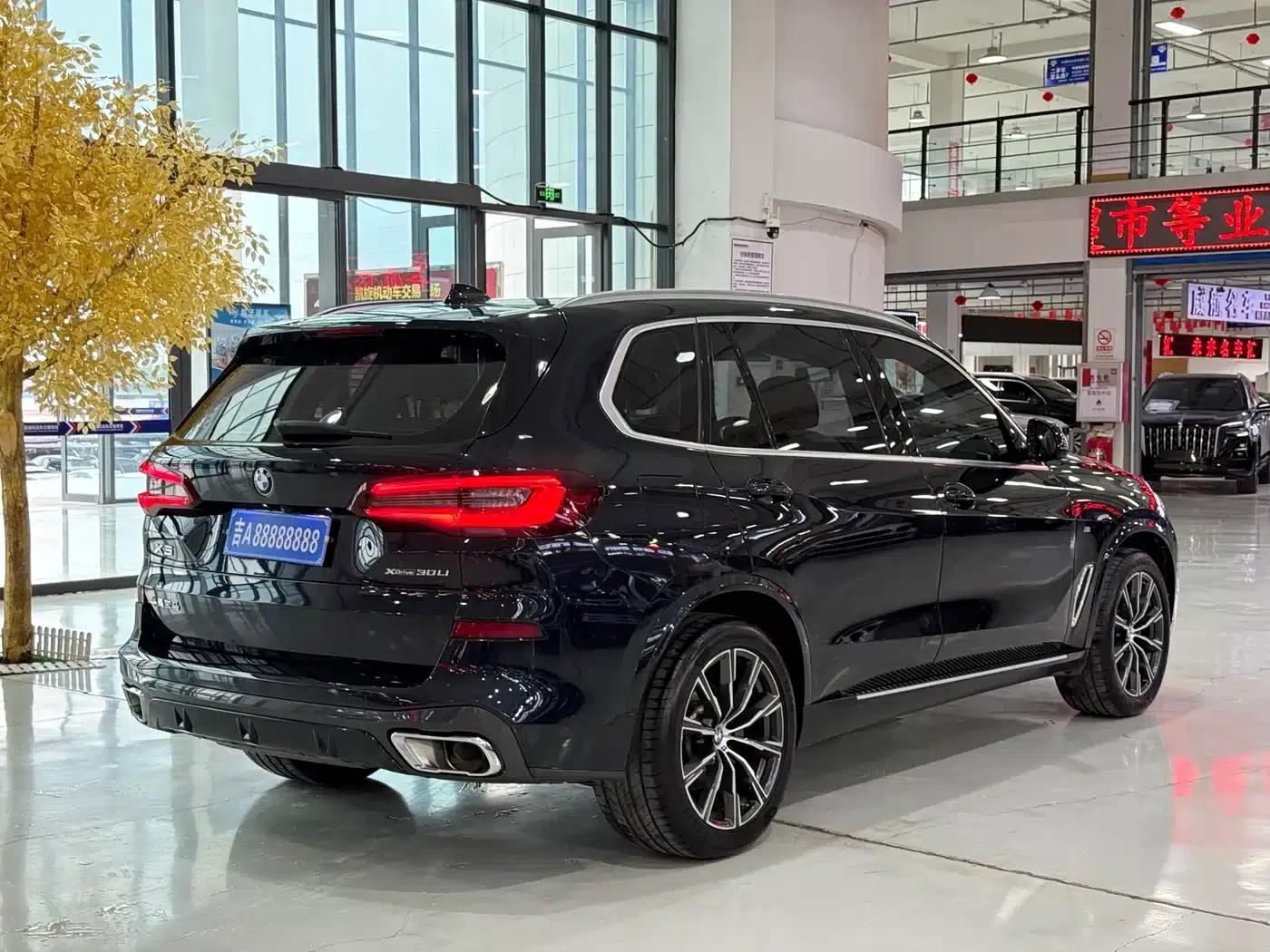 BMW X5 2022 xDrive 30Li M Sport Package — миниатюра 4