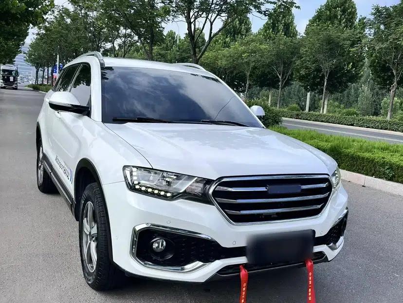 Haval H6 Coupe 2018 Blue Label 1.5T Automatic Two-Wheel Drive Ultra-Luxury Model — миниатюра 13
