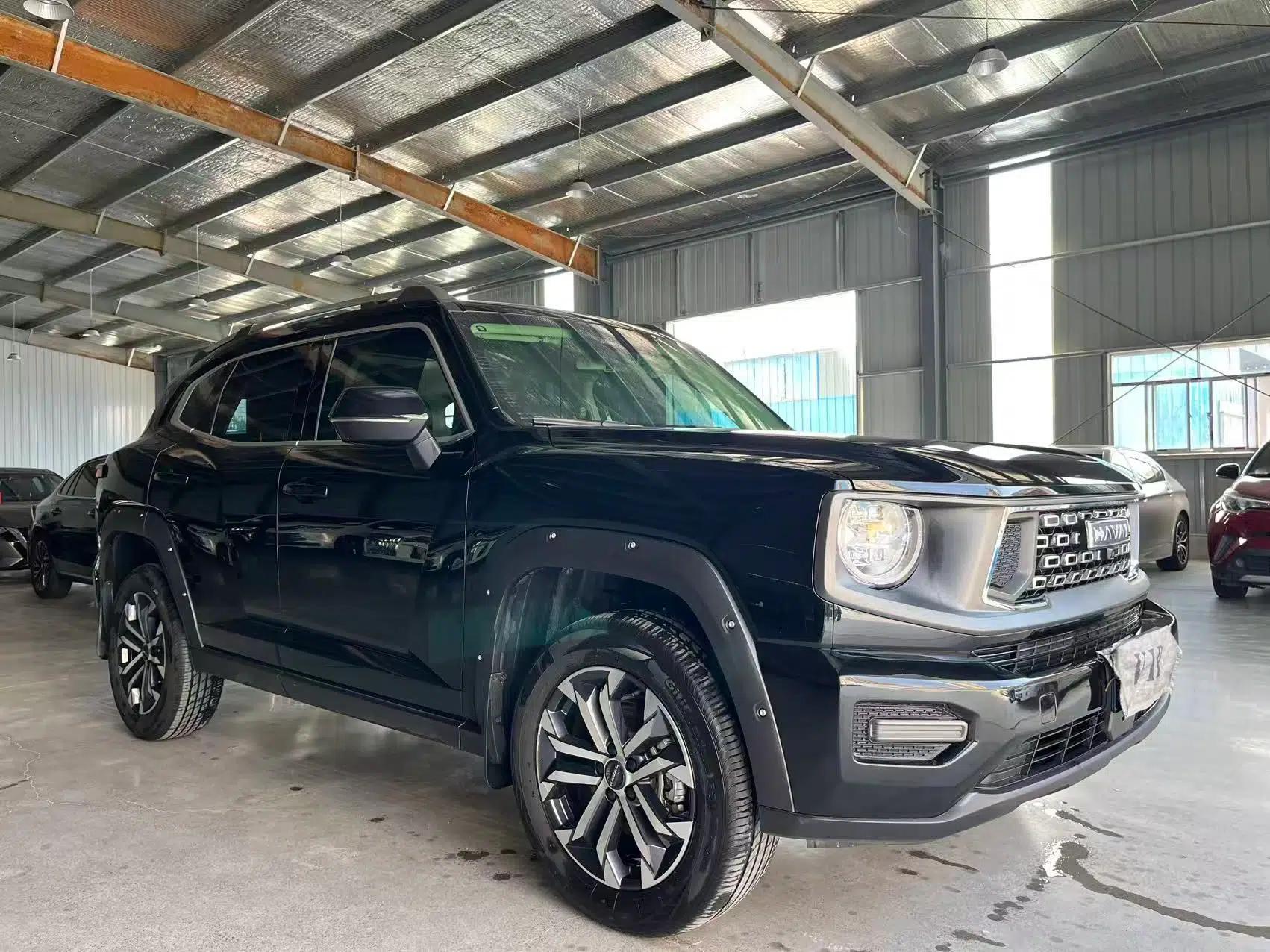 Haval H Dog 2023 2.0T Two-Wheel Drive Chaoye Version Plus — миниатюра 3