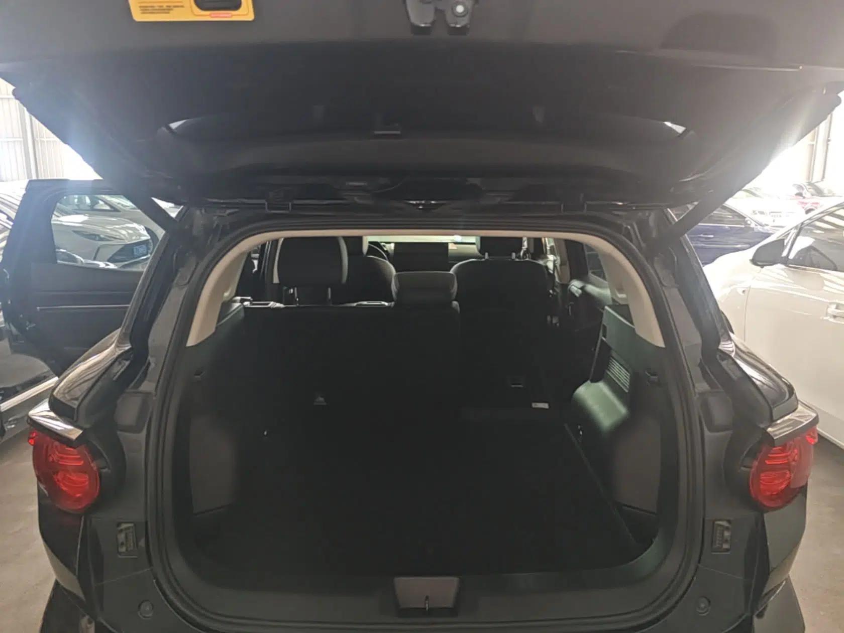 Haval H Dog 2023 2.0T Two-Wheel Drive Chaoye Version Plus — миниатюра 22