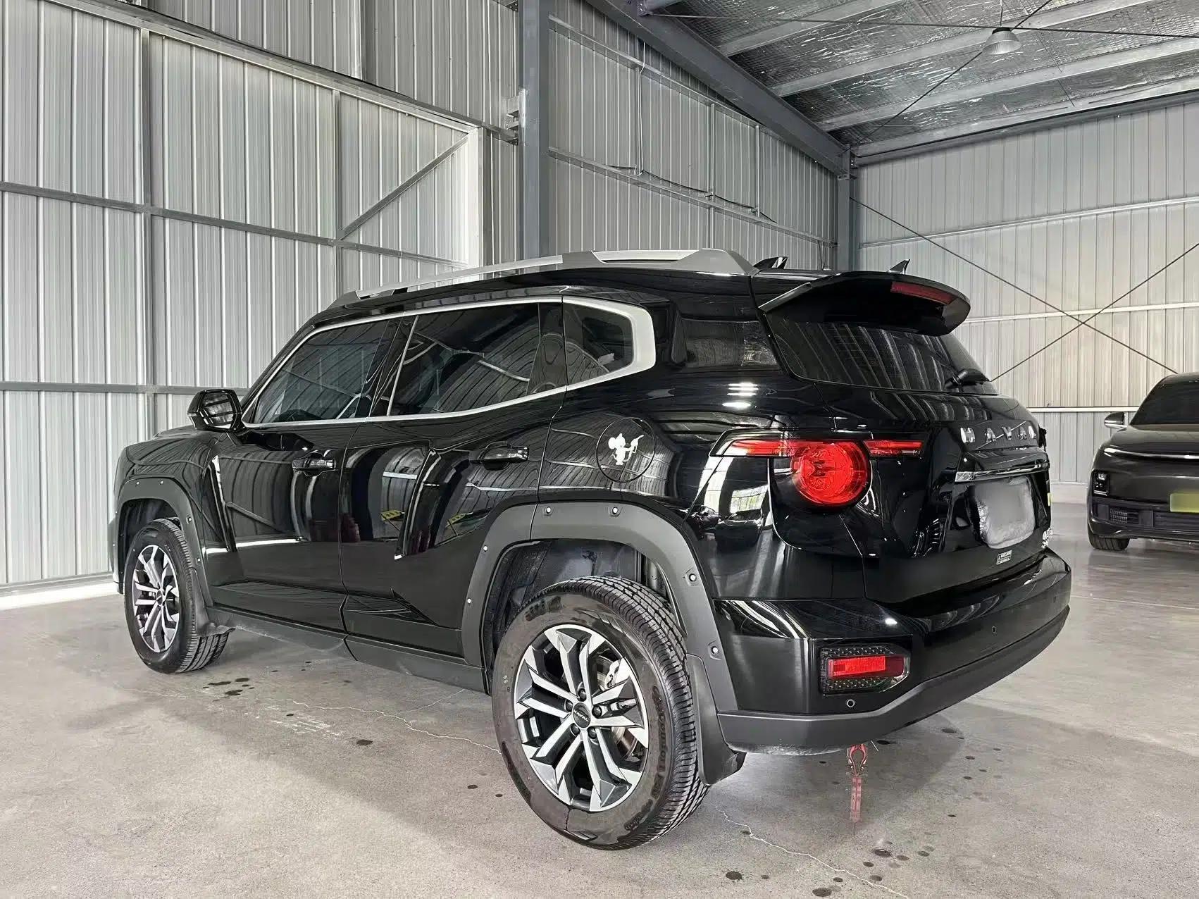 Haval H Dog 2023 2.0T Two-Wheel Drive Chaoye Version Plus — миниатюра 4