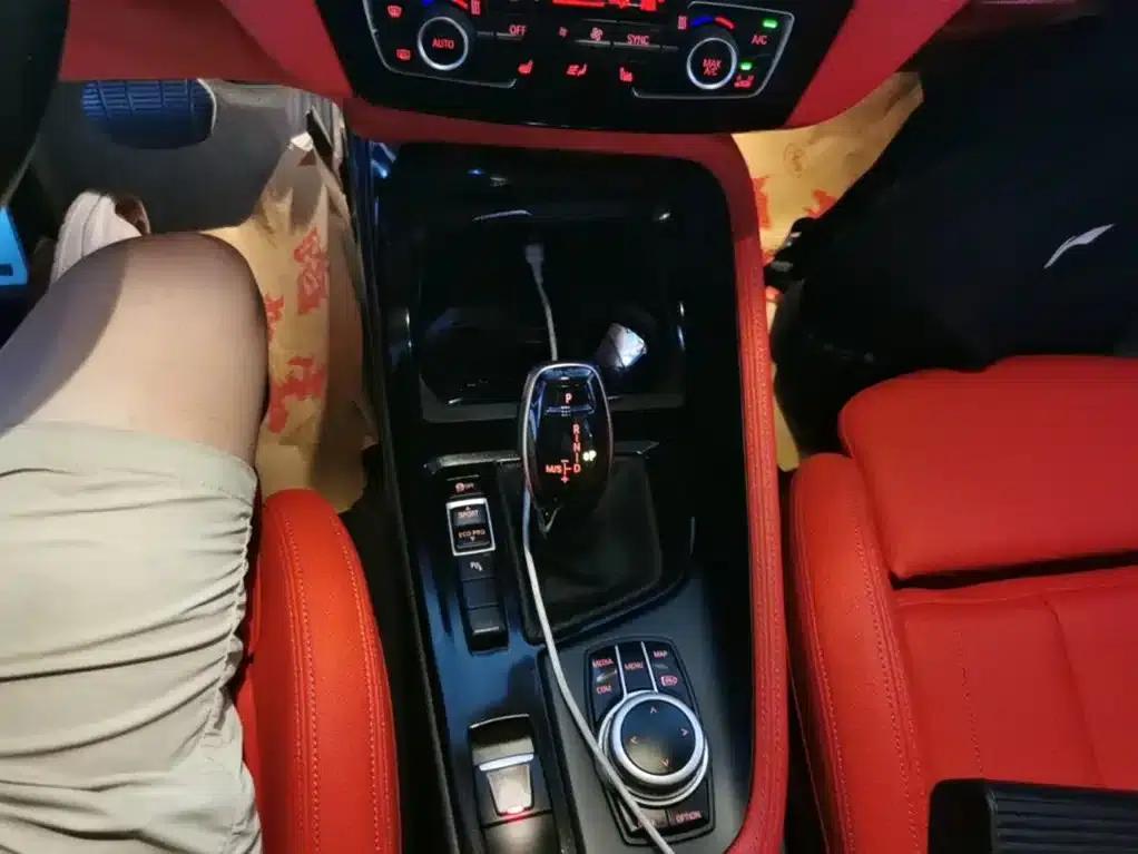 BMW X2 2021 sDrive25i Luxury M Sport Package — миниатюра 14