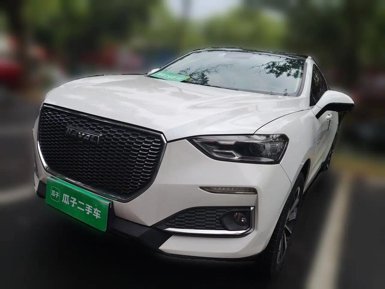 Haval F5 2019 National Trend Edition 1.5T i-Trend China VI Standard — миниатюра 1