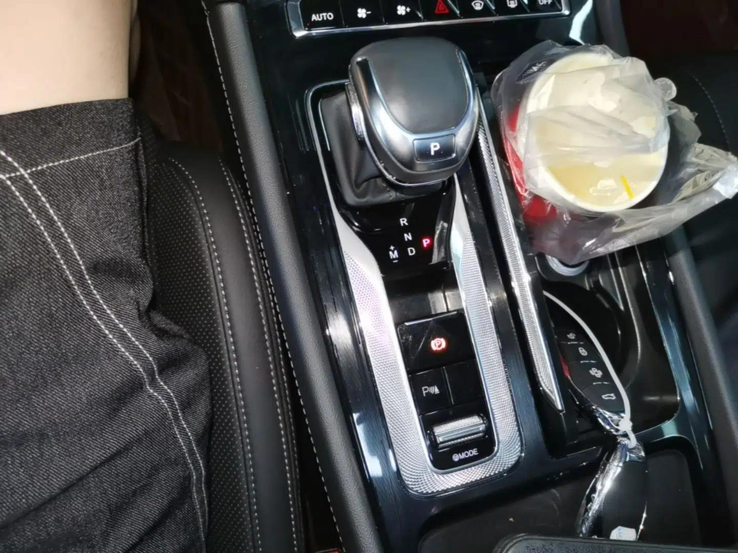Hongqi H5 2024 2.0T Automatic Smart Connect Flagship Edition — миниатюра 16