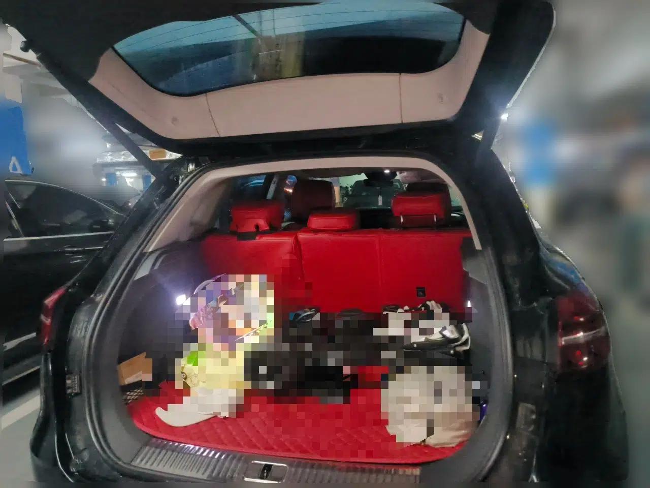 Hongqi HS5 2019 2.0T Smart Connect Flagship Edition — миниатюра 19