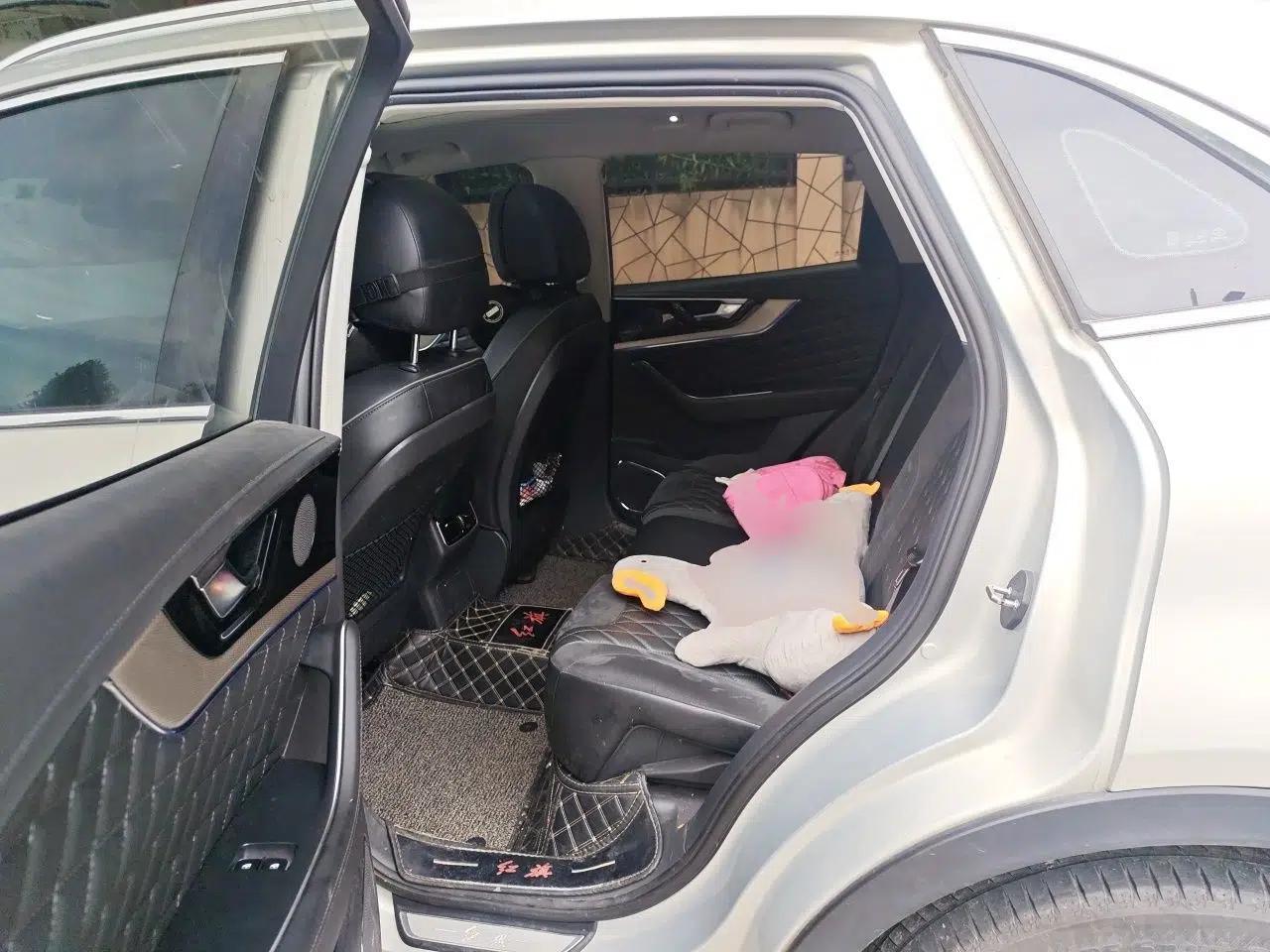Hongqi HS5 2019 2.0T Smart Connect Flagship Edition — миниатюра 17