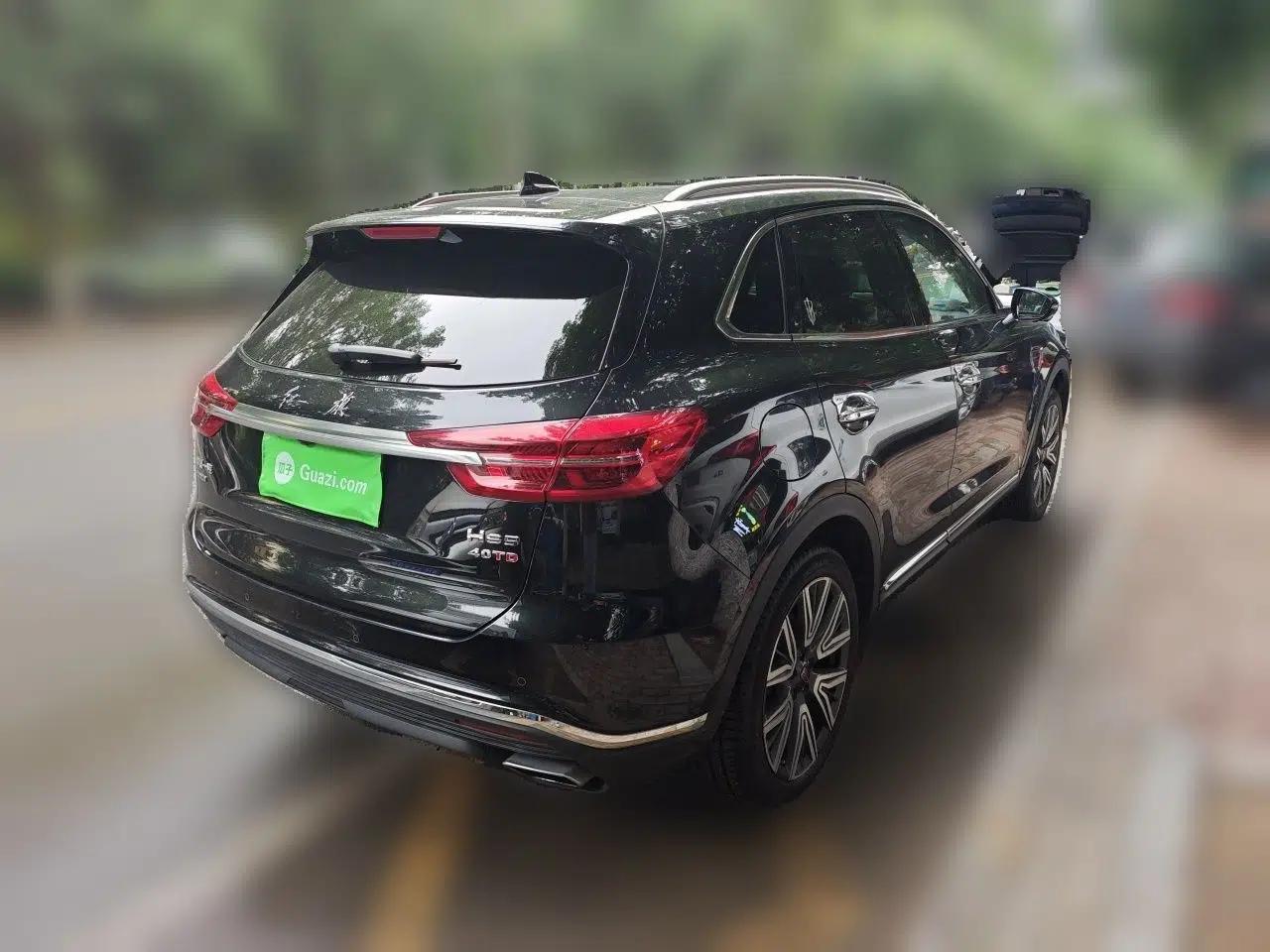 Hongqi HS5 2022 Facelifted Version 2.0T Smart Connect Flagship All-Wheel-Drive Edition — миниатюра 6