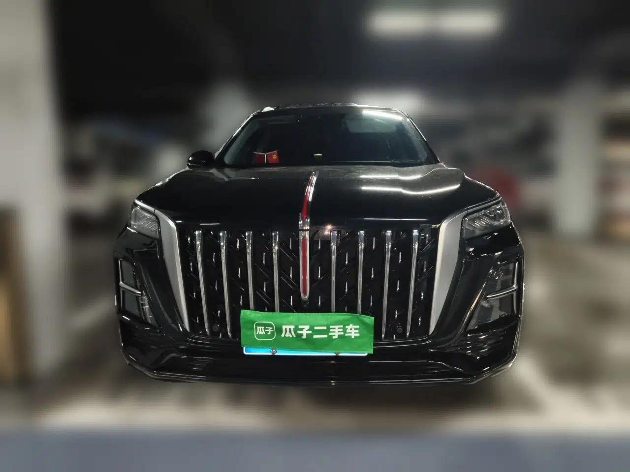 Hongqi HS5 2023 2.0T Qixiang Pro 500 000th Unit Commemorative Edition — миниатюра 2