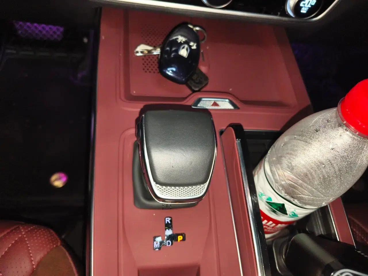 Hongqi HS5 2023 2.0T Qixiang Pro 500 000th Unit Commemorative Edition — миниатюра 14