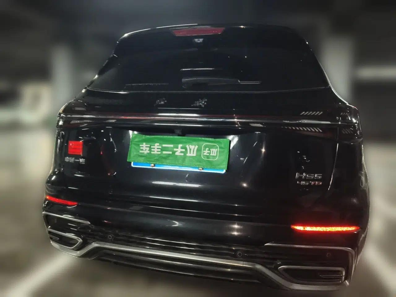 Hongqi HS5 2023 2.0T Qixiang Pro 500 000th Unit Commemorative Edition — миниатюра 5