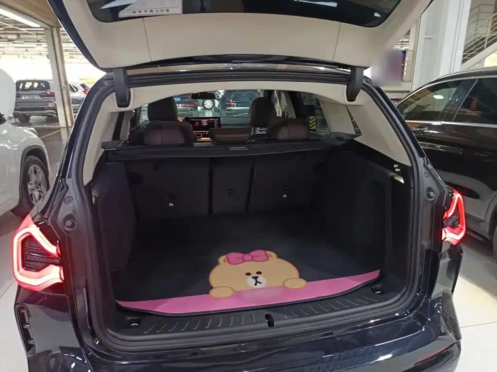 BMW iX3 2023 Leading Edition — миниатюра 15
