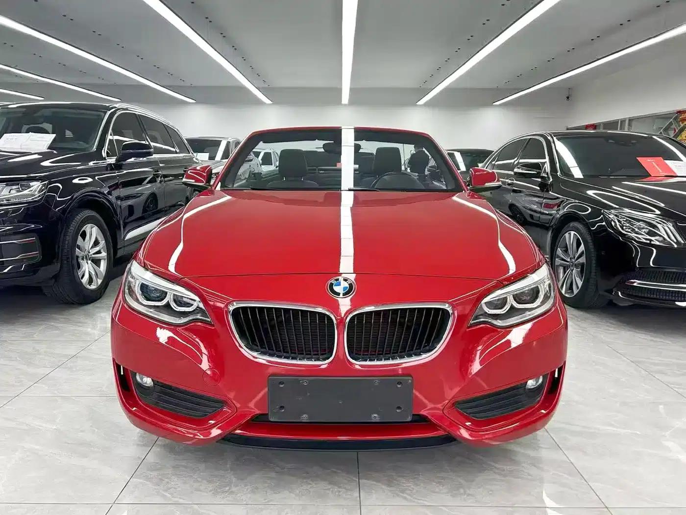 BMW 2 Series (Imported) 2015 220i Convertible Coupe Leading Model — миниатюра 8