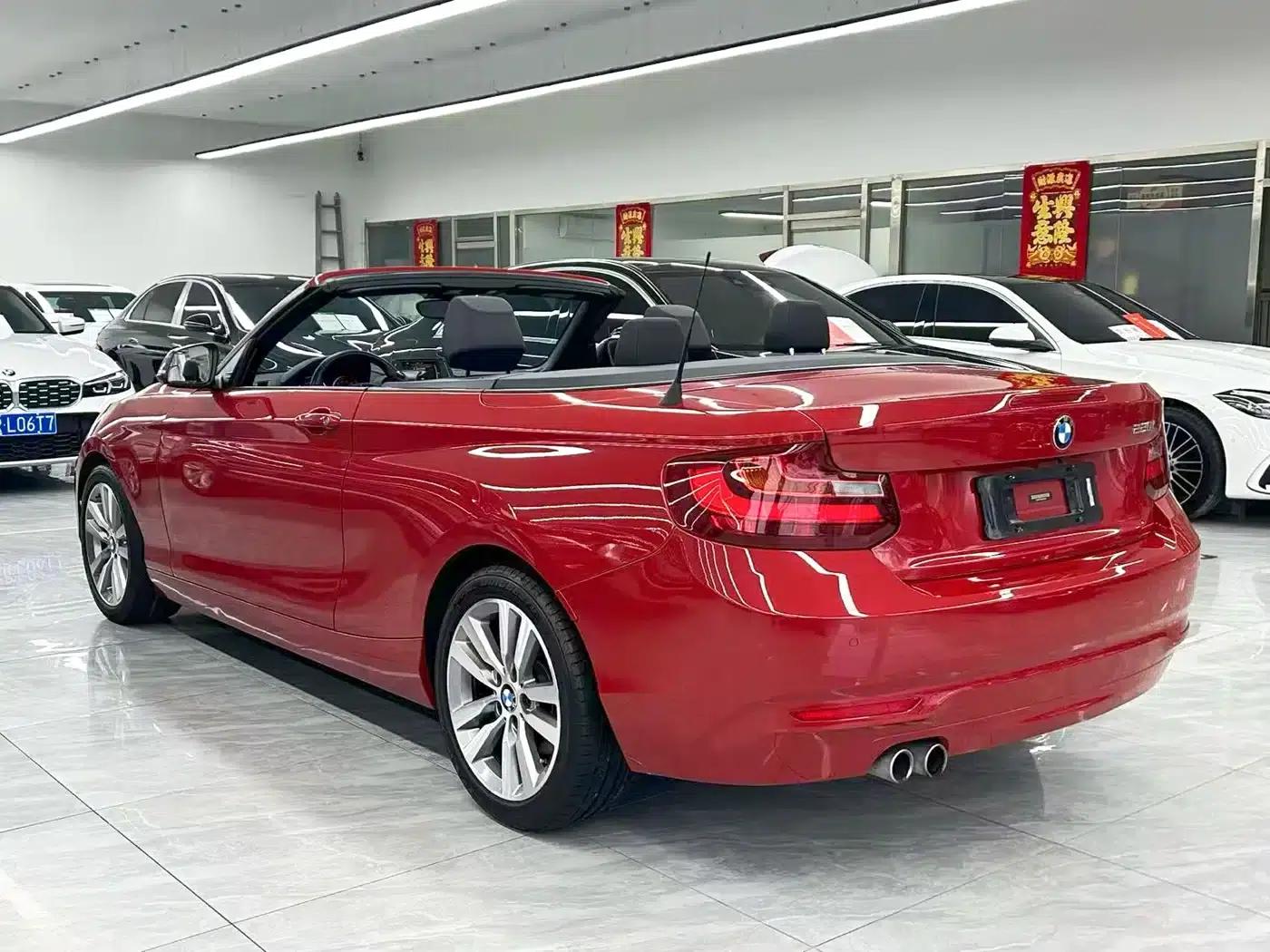 BMW 2 Series (Imported) 2015 220i Convertible Coupe Leading Model — миниатюра 10