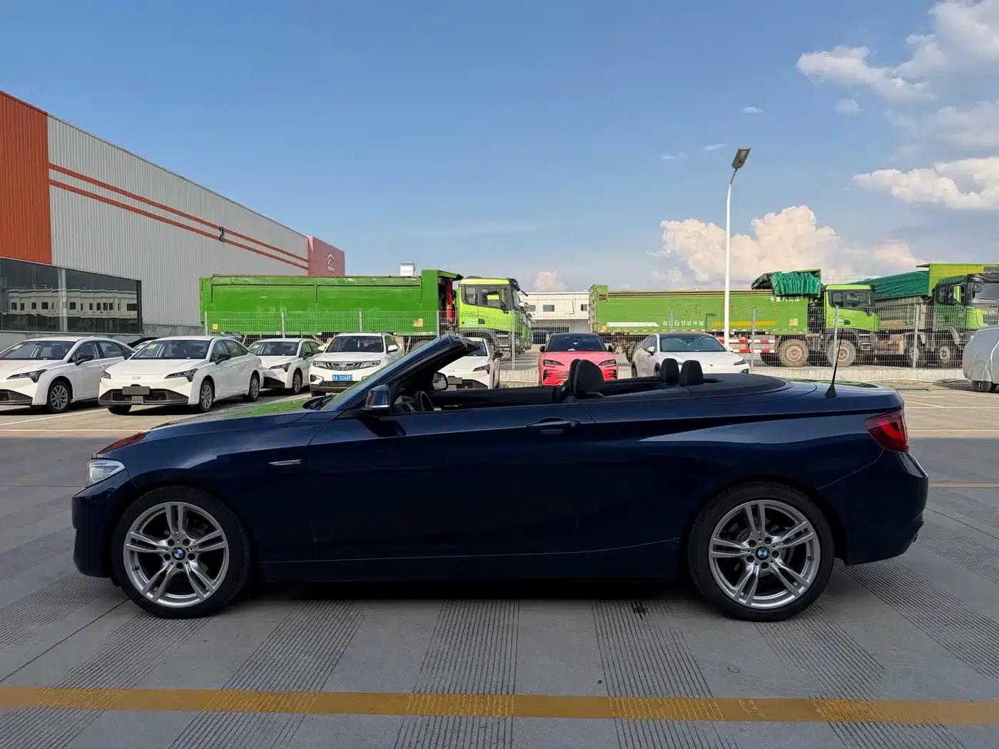 2015 BMW 2 Series Imported 218i Convertible Coupe — миниатюра 6