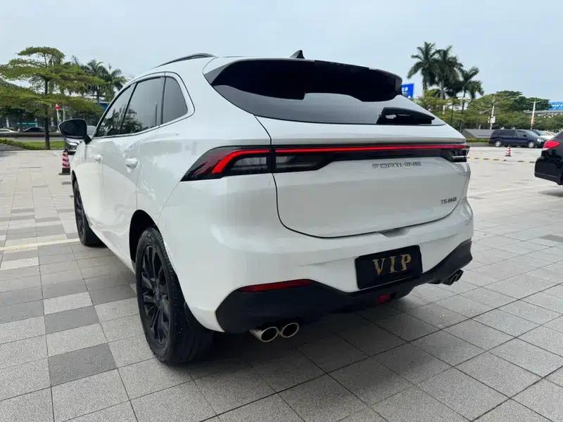 Fengxing T5 EVO 2021 1.5TD DCT Diamond Edition — миниатюра 5