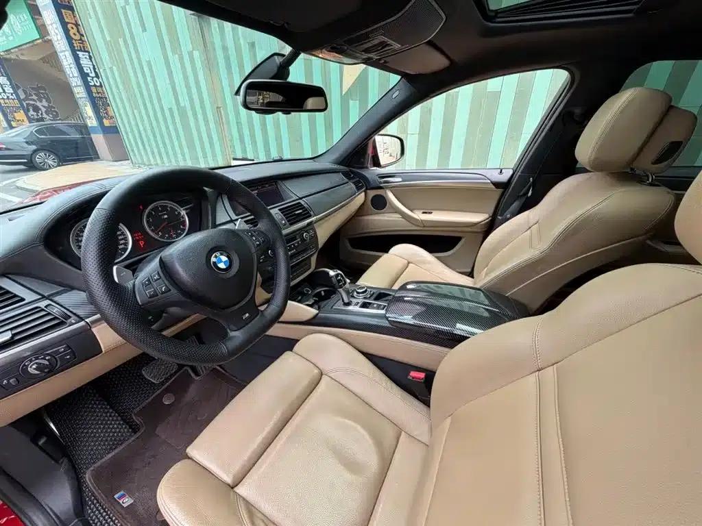 2010 BMW X6 M — миниатюра 3
