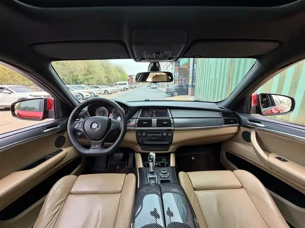 2010 BMW X6 M — миниатюра 4