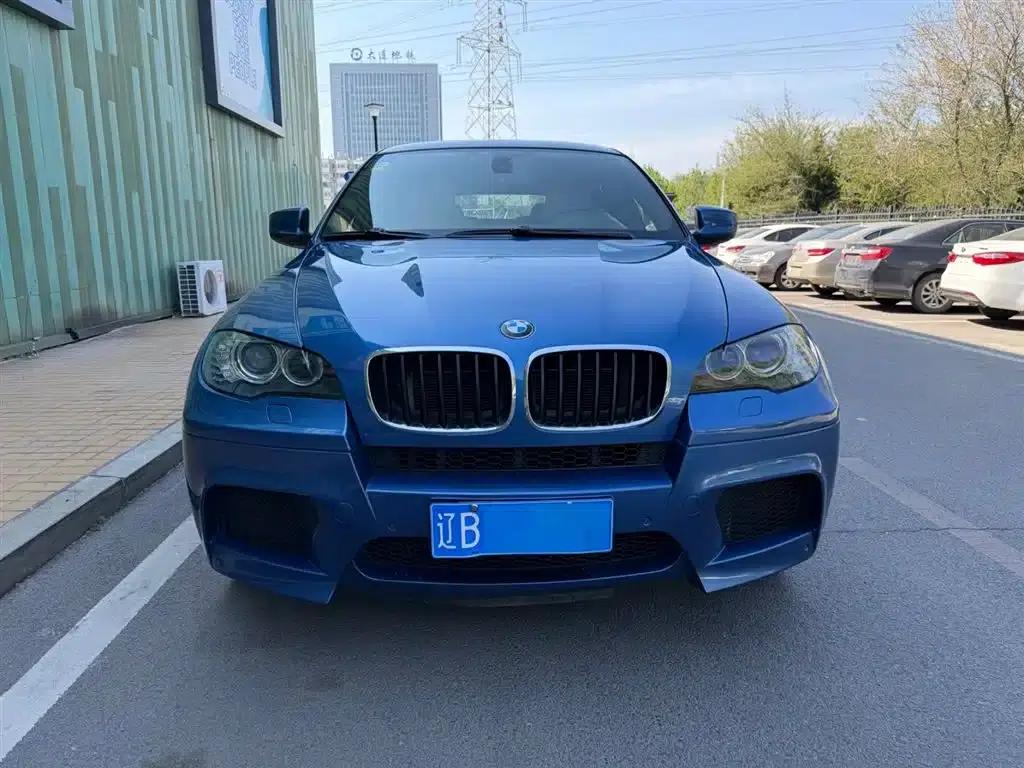 2010 BMW X6 M — миниатюра 2