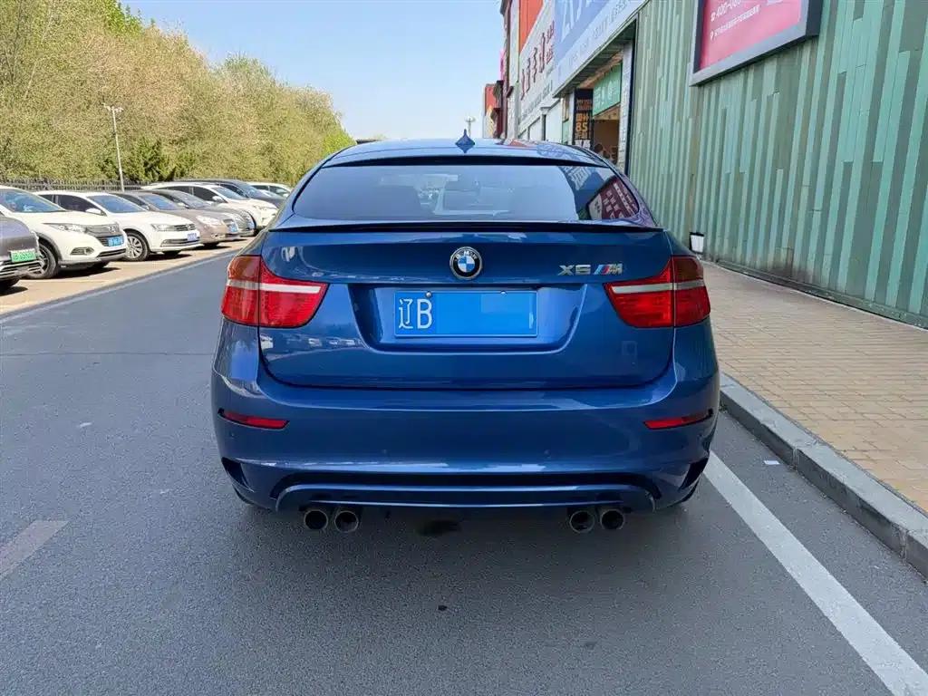 2010 BMW X6 M — миниатюра 12