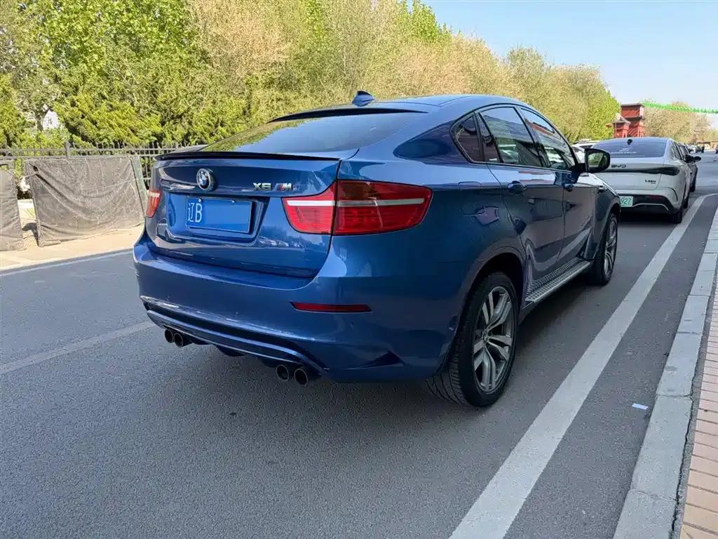 2010 BMW X6 M — миниатюра 13