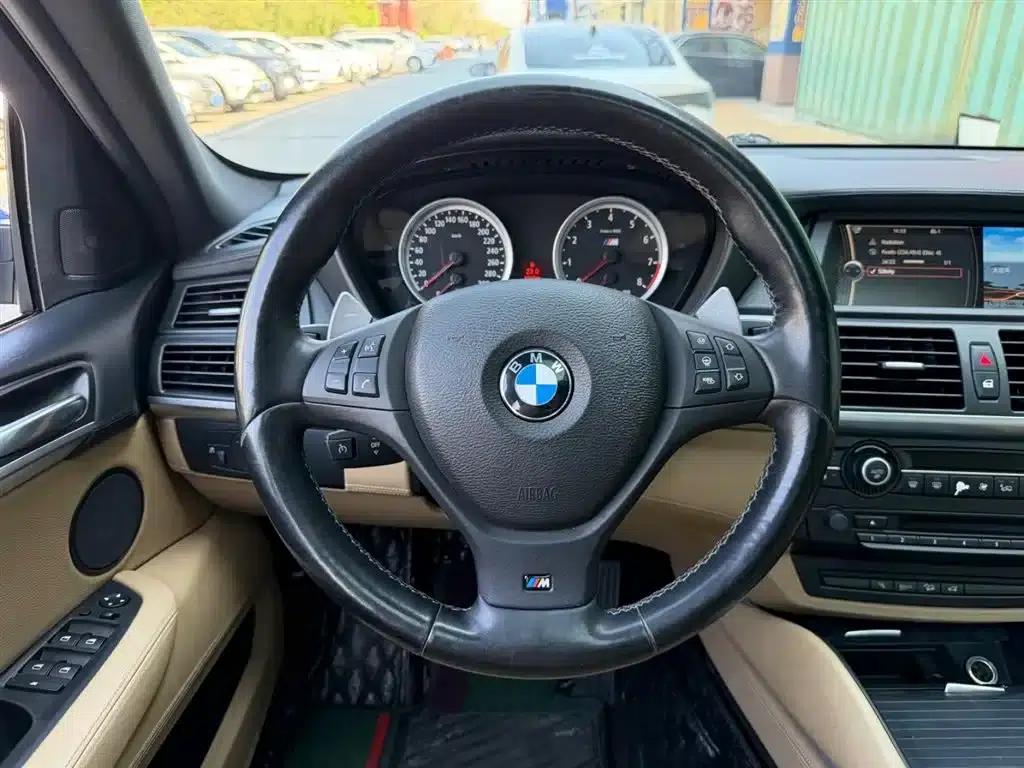 2010 BMW X6 M — миниатюра 5