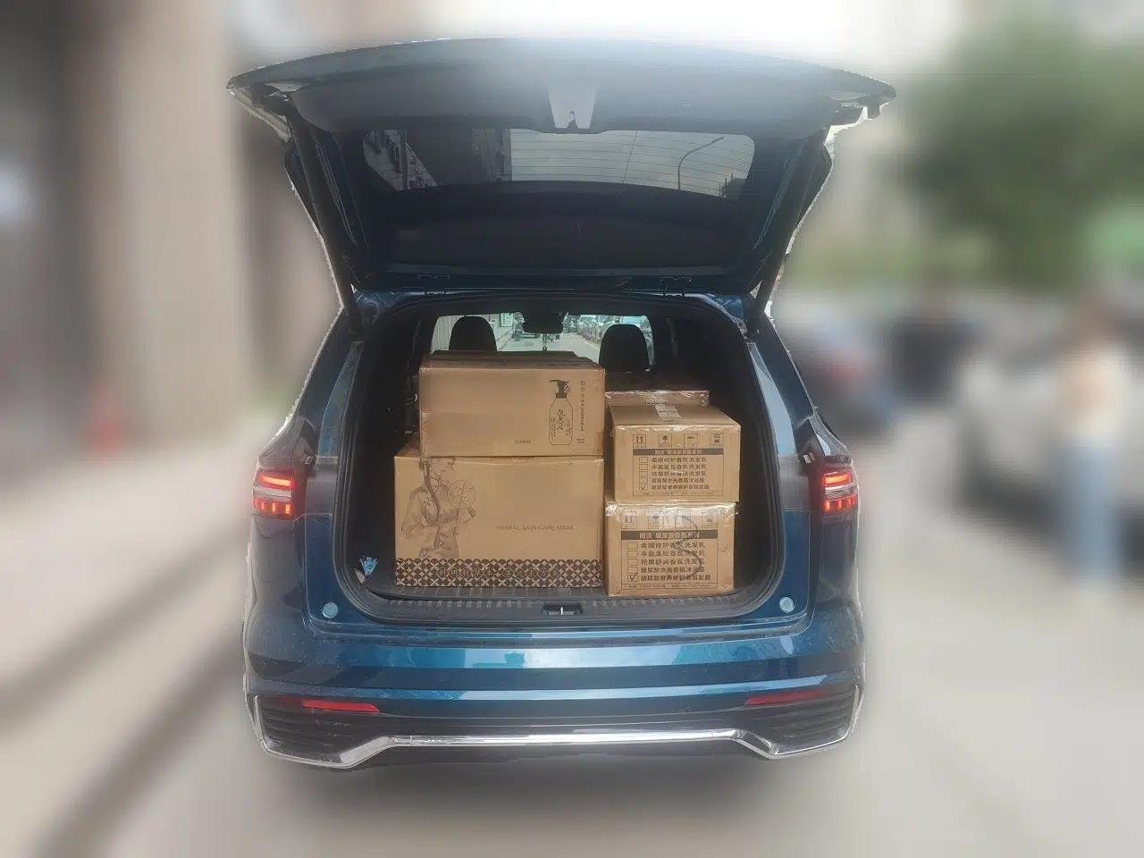 Geely Auto Monjaro L 2023 2.0TD High-Power Automatic Two-Wheel Drive Flagship Version — миниатюра 19