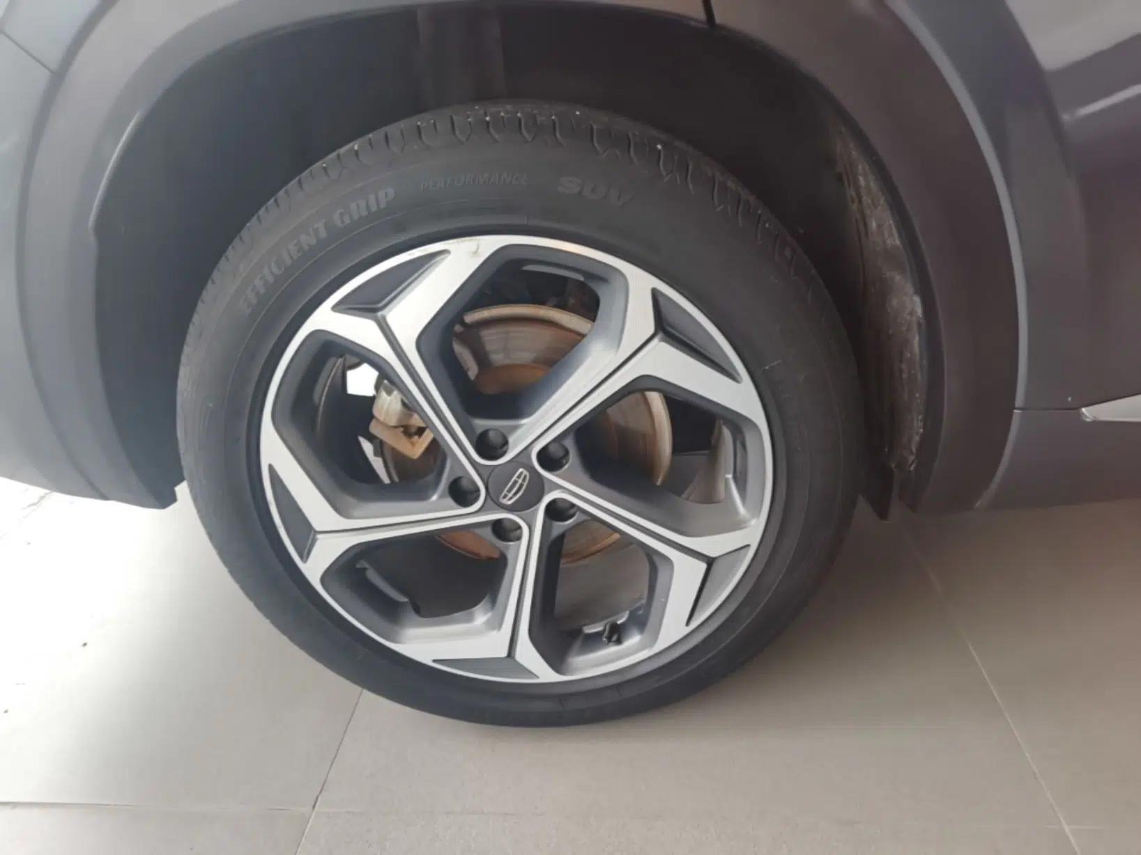 Geely Auto Monjaro L 2021 2.0TD DCT EVO Two-Wheel Drive Prestige Version — миниатюра 11