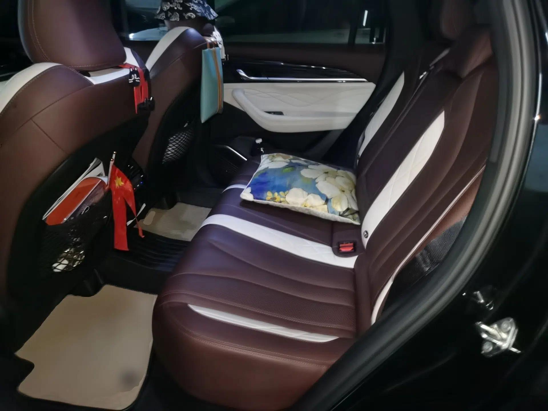 Geely Auto Monjaro L 2021 2.0TD High-Power Automatic All-Wheel-Drive Flagship Version — миниатюра 17